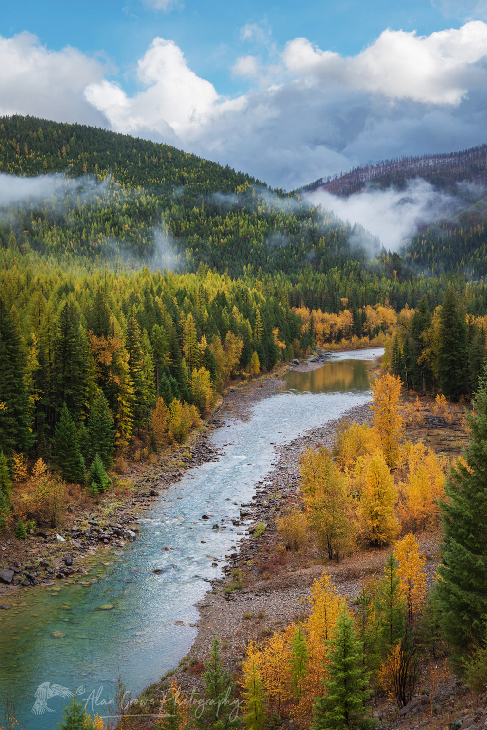 Fall foliage along the Middle Fork Flathead River. Glacier National Park, Montana #87586