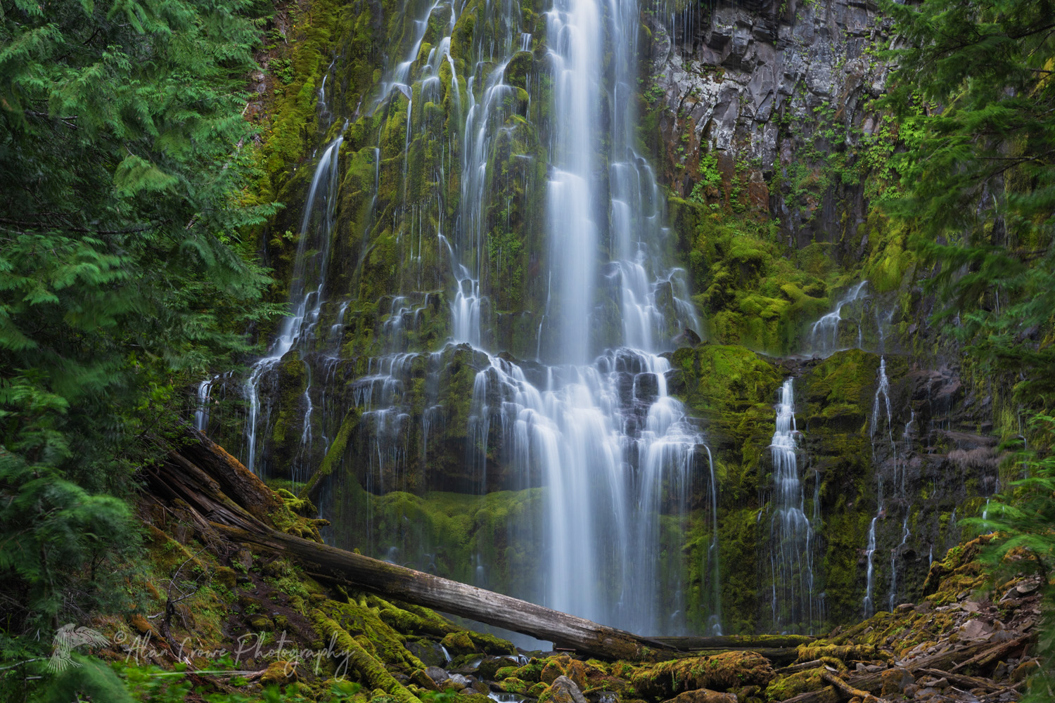 Proxy Falls Oregon Willamette National Forest, Oregon #84265