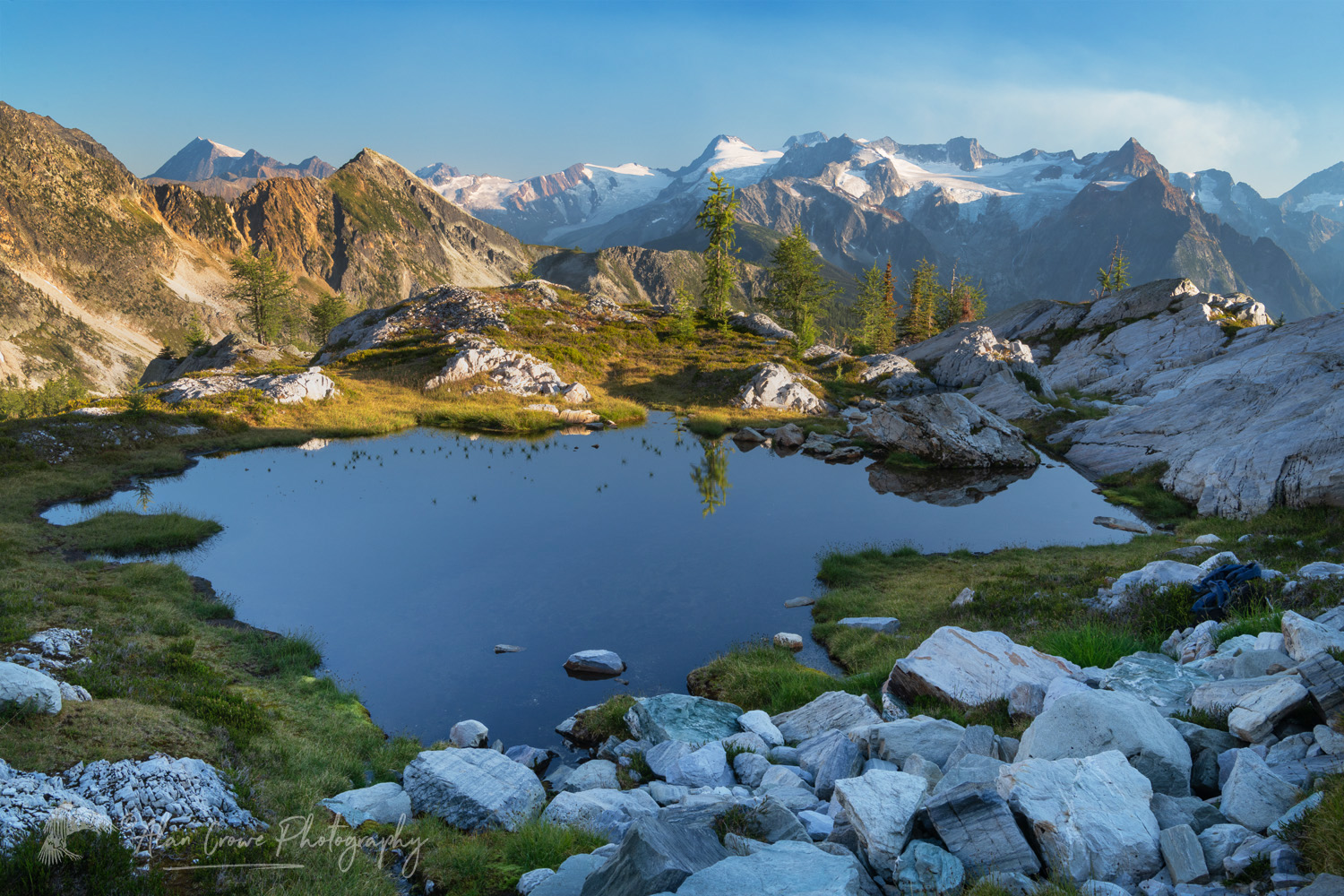Truce Mountain, Horseshoe Glacier, and peaks of the Truce Group, seen from Monica Meadows. Purcell Mountains, British Columbia, Canada #81132