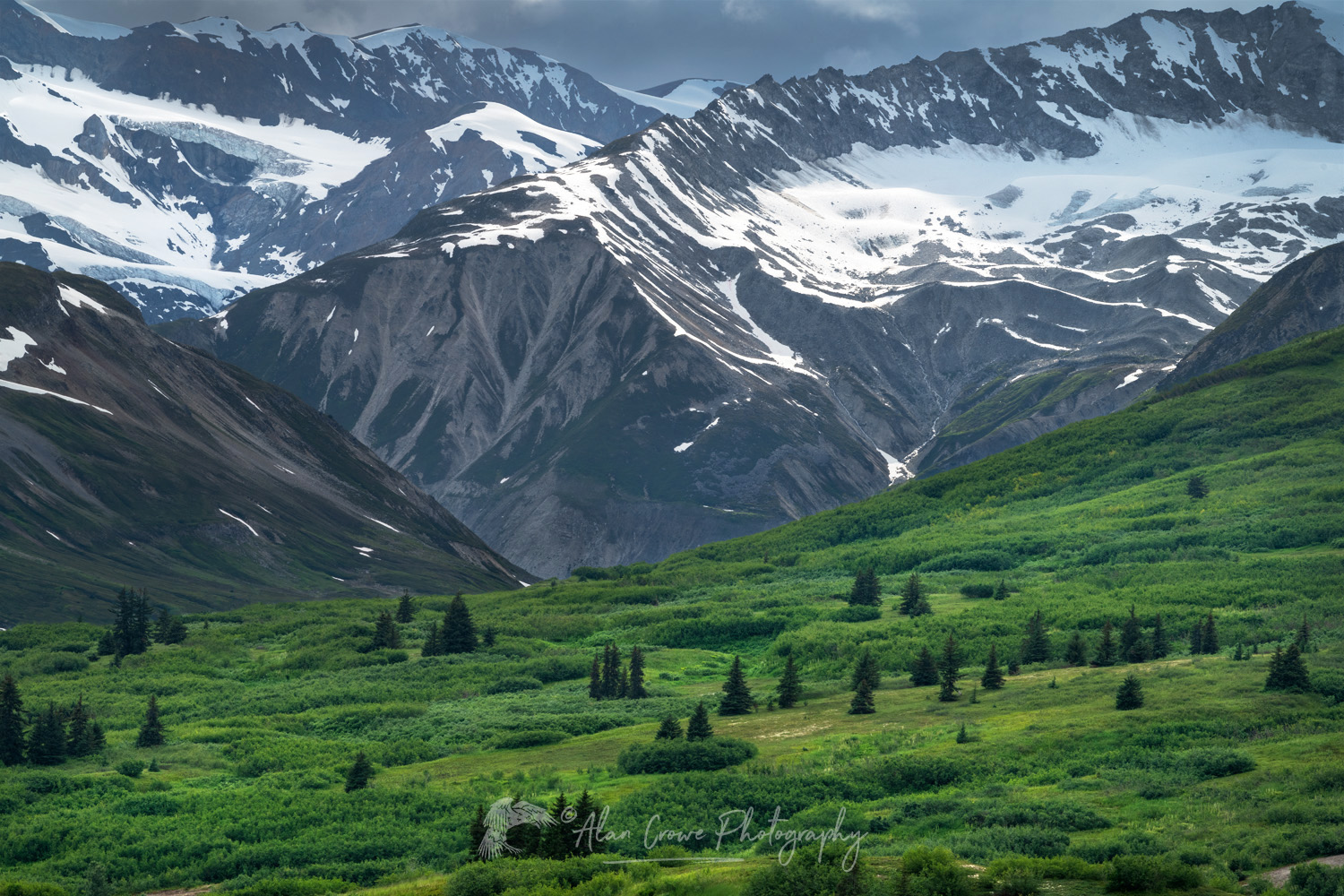 Alsek Range, the southeastern-most subdivision of the Saint Elias Mountains. Tatshenshini-Alsek Park, British Columbia #86820