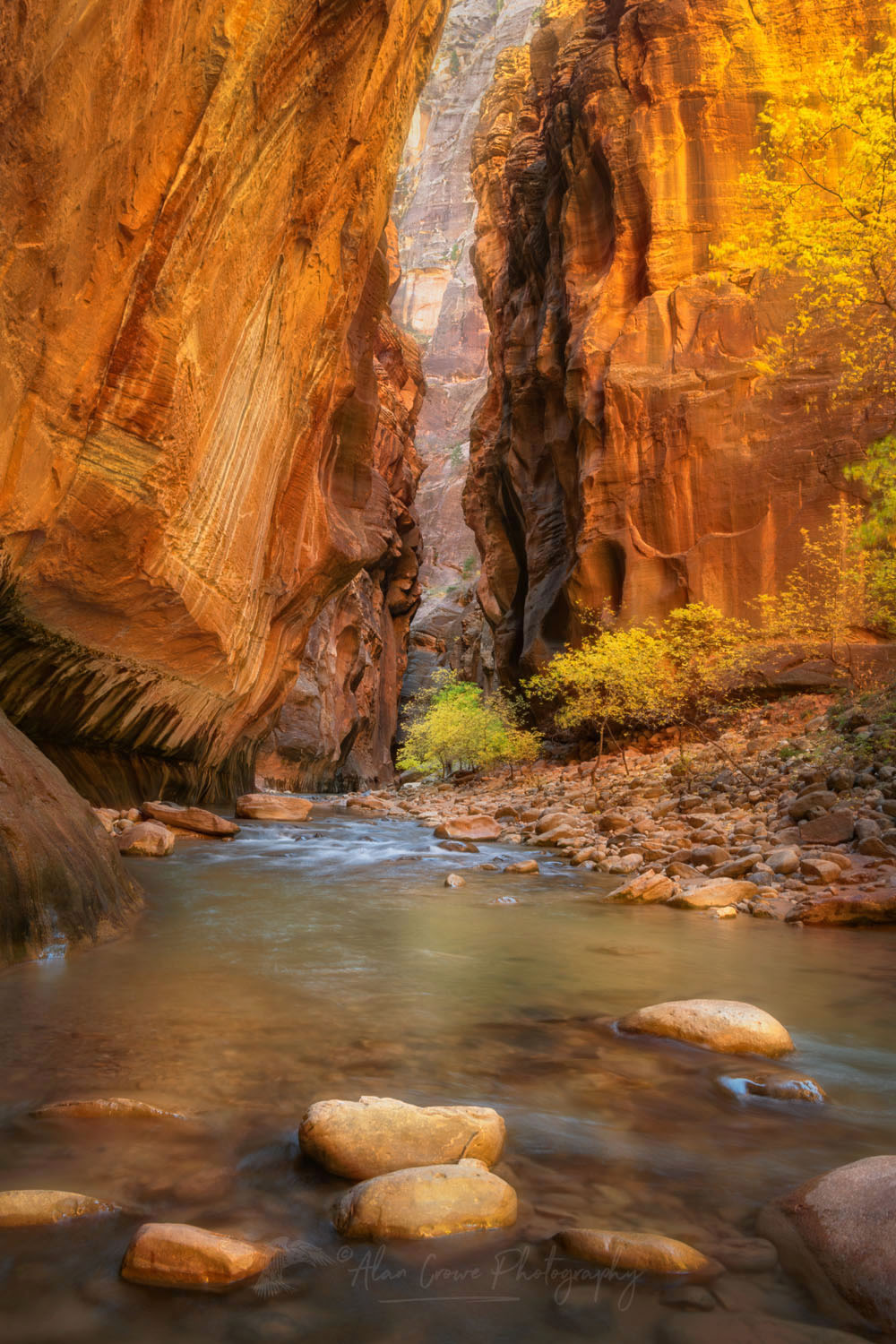 Fall color in Zion Canyon Narrows Zion National Park Utah #76925or