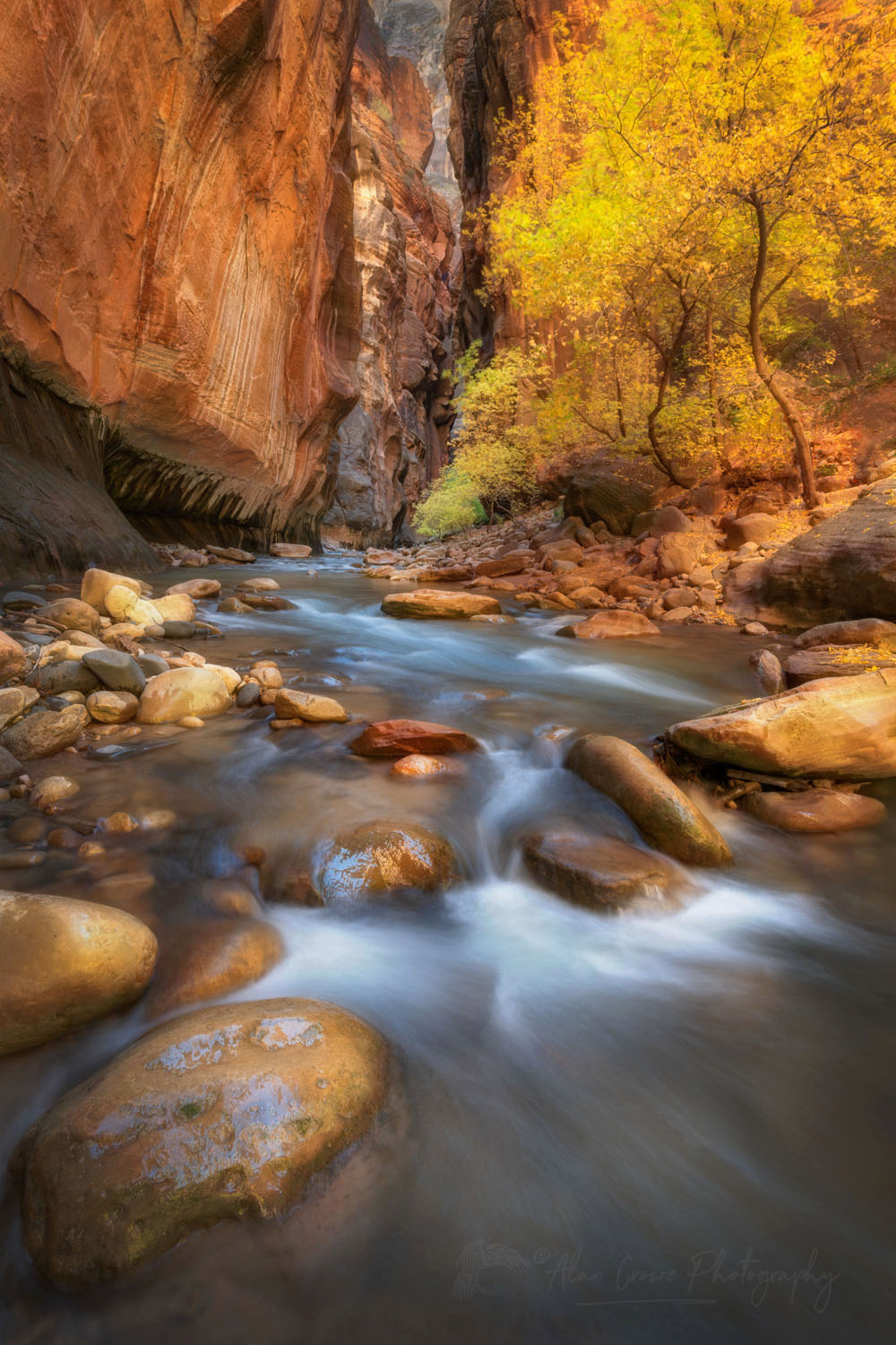 Fall color in Zion Canyon Narrows Zion National Park Utah #76932or