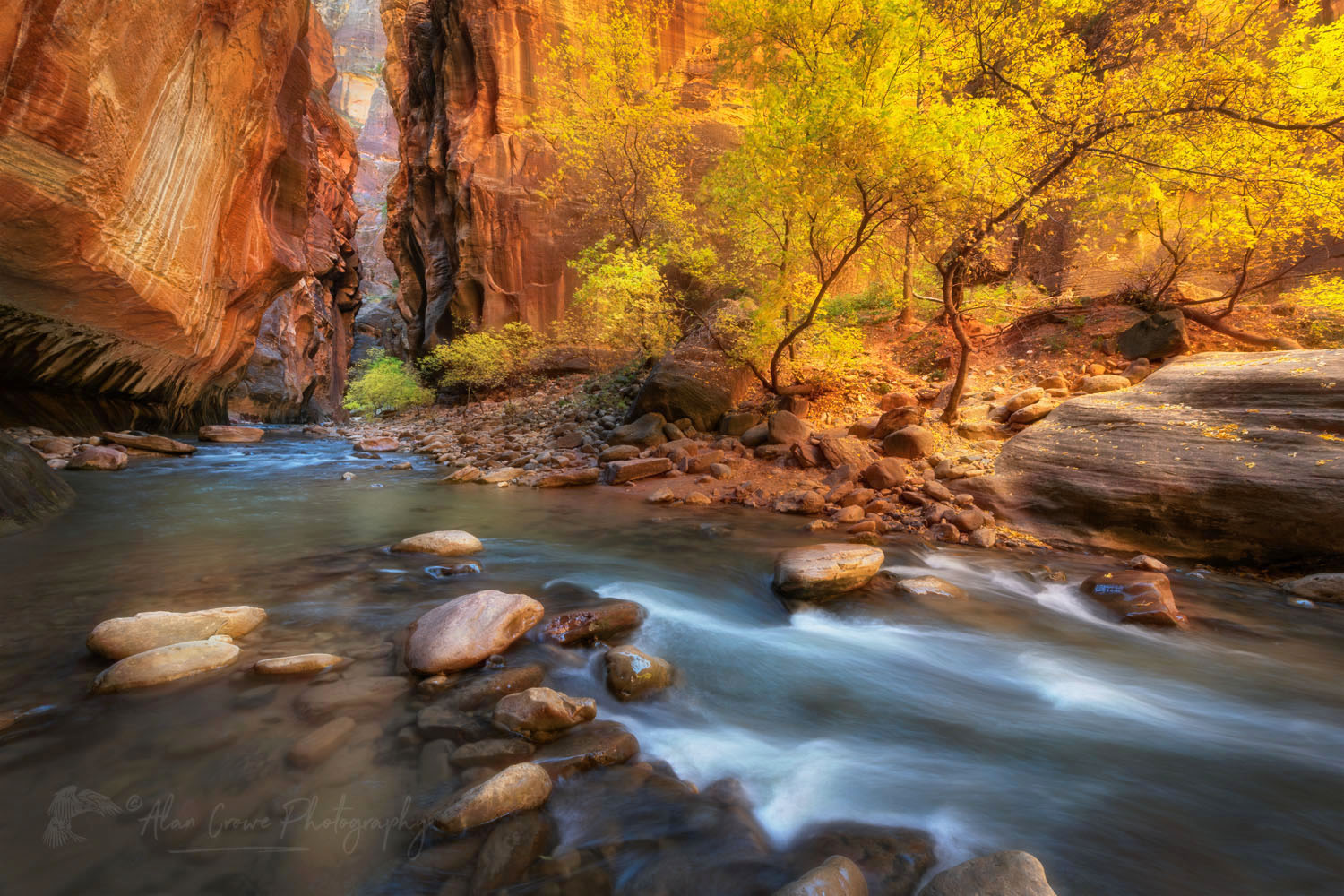 Fall color in Zion Canyon Narrows Zion National Park Utah #76933or