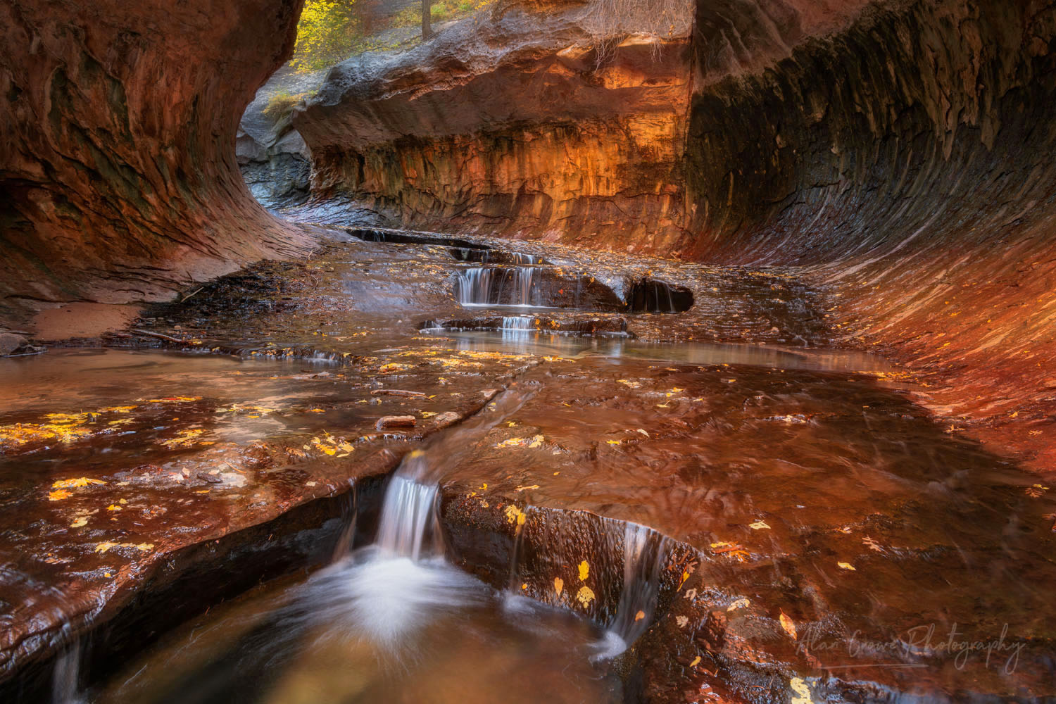 The Subway Zion National Park #76810or