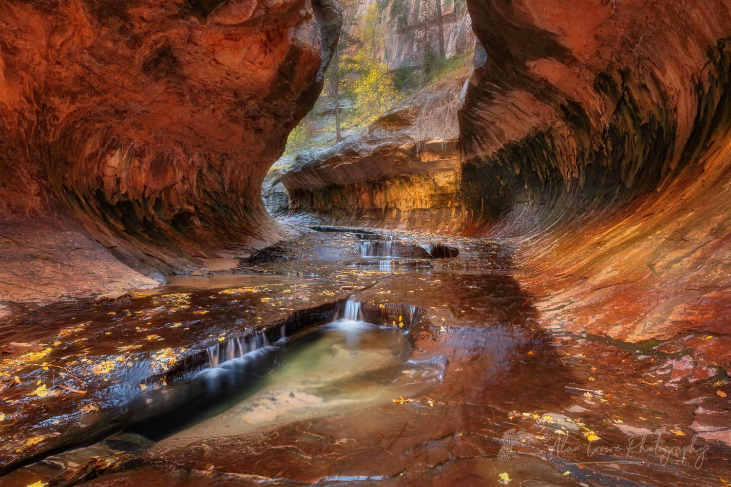 Emerald green pools in The Subway, Left Fork North Creek, Zion National Park, Utah #76841or