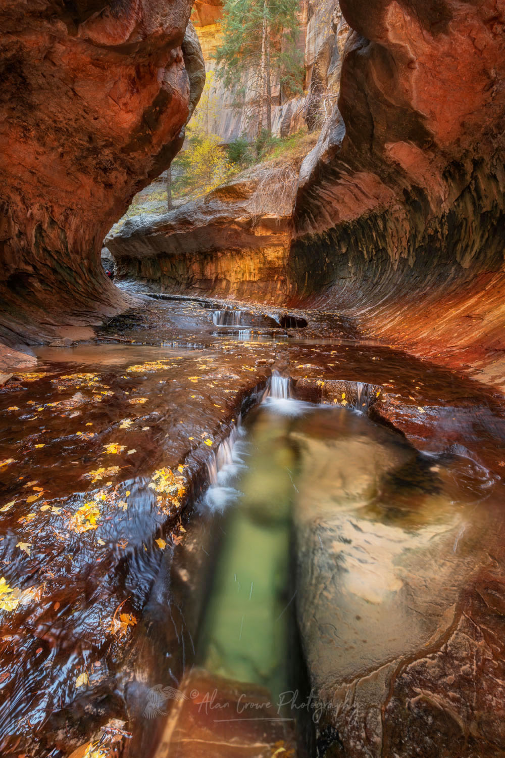 Emerald green pools in The Subway, Left Fork North Creek, Zion National Park, Utah #76842or
