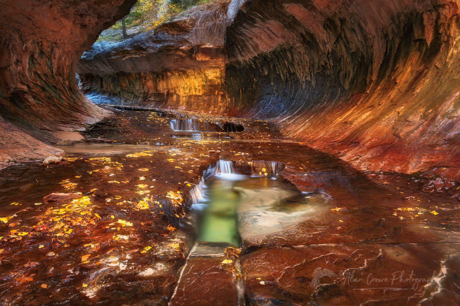 The Subway, Left Fork North Creek, Zion National Park Utah #76884or