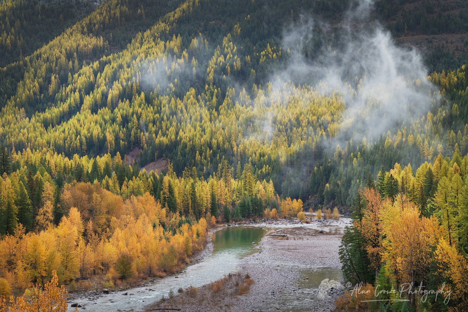 Fall foliage along the Middle Fork Flathead River. Glacier National Park, Montana #87656